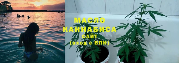 гидра Бородино