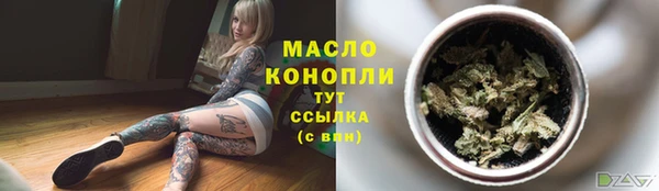 гидра Бородино