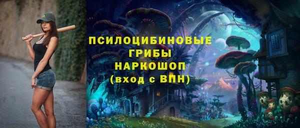 гидра Бугульма