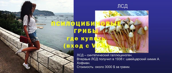 гидра Бугульма