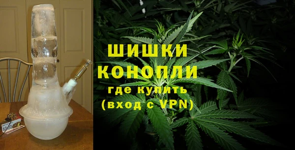 гидра Бородино
