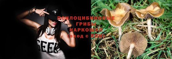 МДПВ Верхнеуральск
